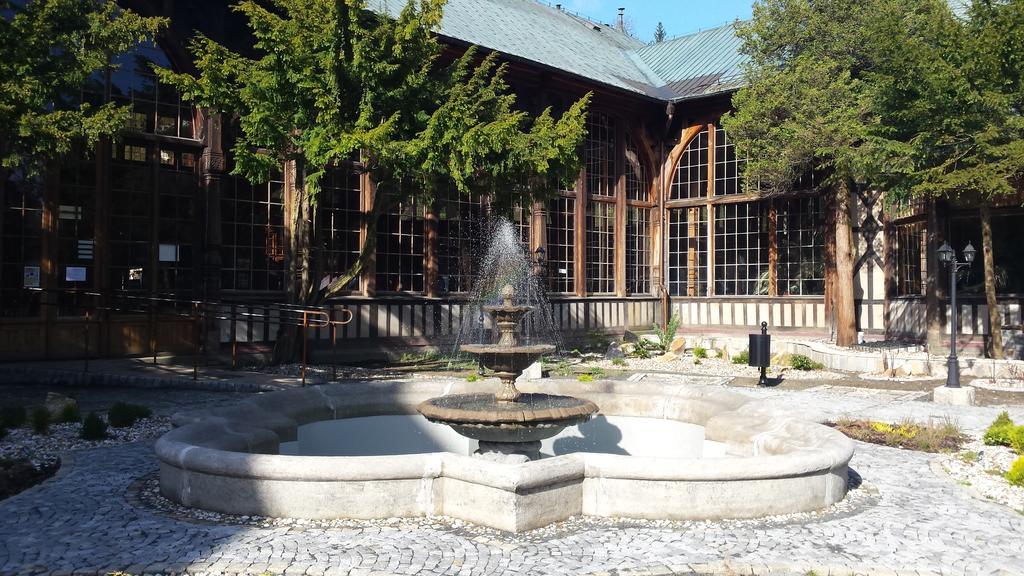 Dom Zdrojowy Hotel Świeradów-Zdrój Buitenkant foto